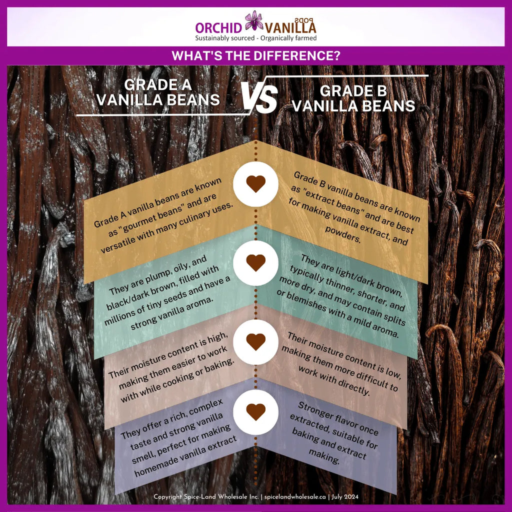 Vanilla Bean Grades Explained: Grade A vs. Grade B