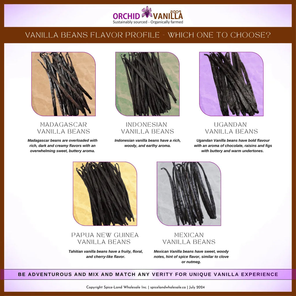 Vanilla Beans Flavor Profile – Which One to Choose?