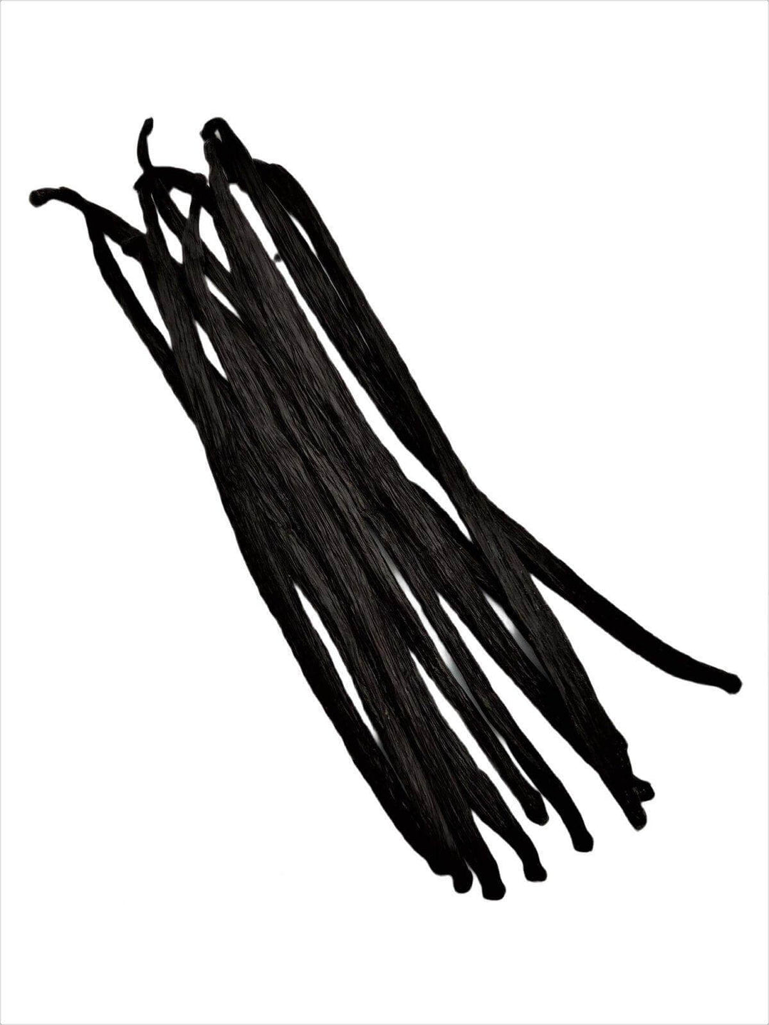 Tahitian Vanilla Beans Gourmet Grade-A For Extract And Baking1oz, 3oz, 5oz, 10oz, 20oz, 30oz | Spice-Land Wholesale | Vanilla Beans