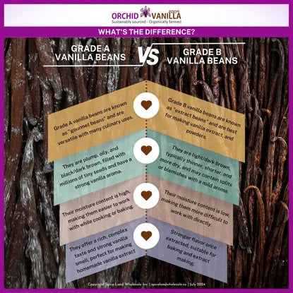 Vanilla Bean Grades Explained: Grade A vs. Grade B