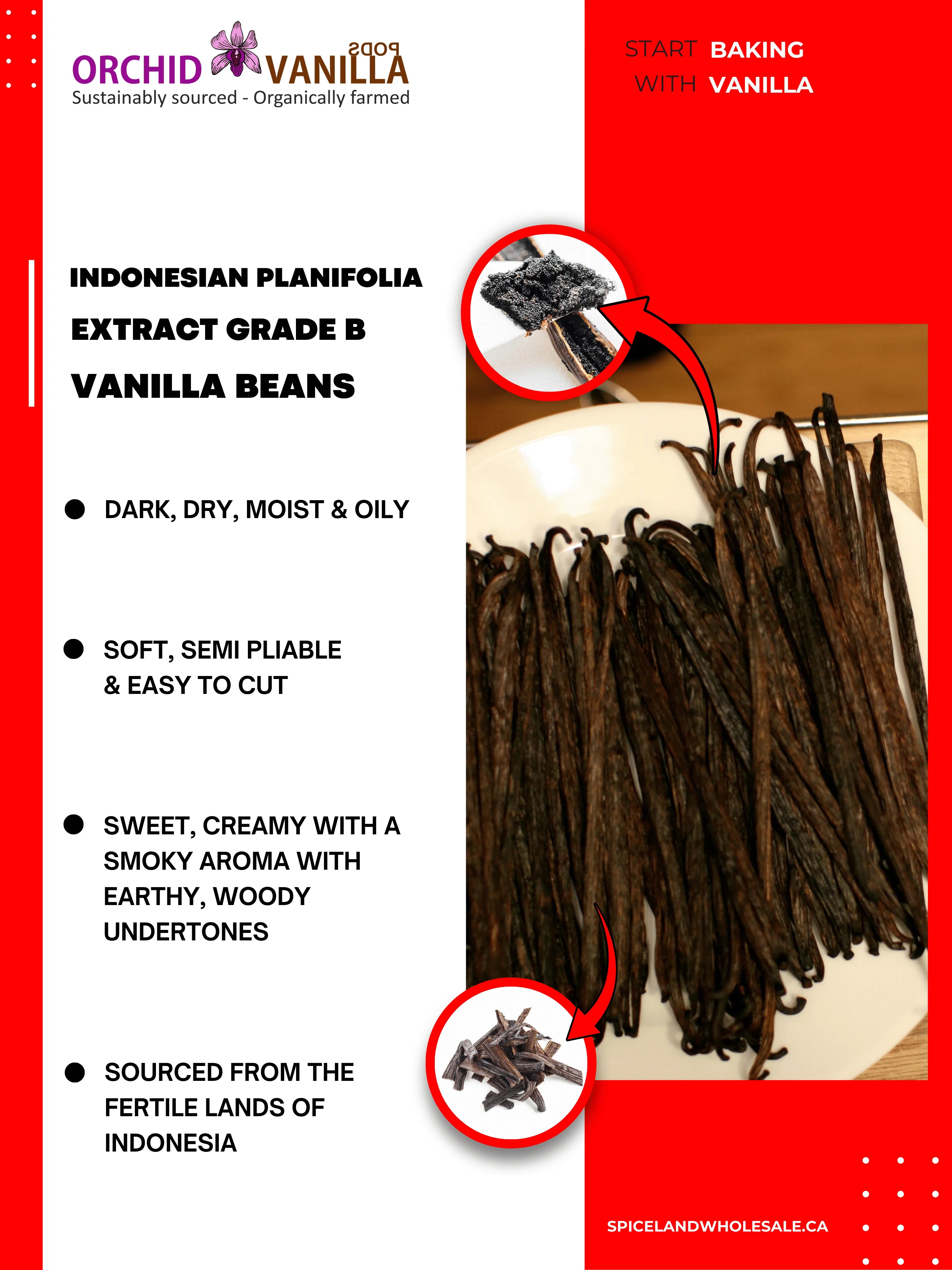 Indonesian Vanilla Beans Planifolia Extract Grade-B <br>For Extract Making<BR>5 count, 15 count, 25 count, 50 count, 100 count