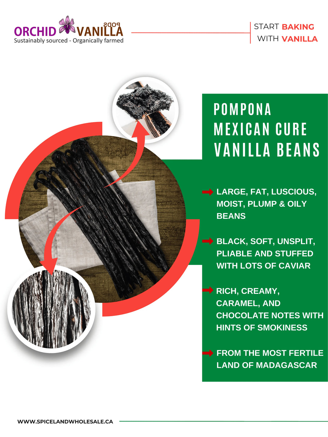 Mexican Cure Vanilla Beans (Pompona) Madagascar