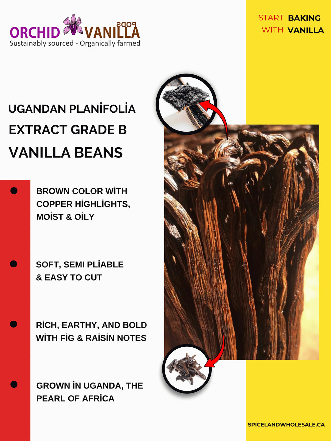 Ugandan Extract Vanilla Beans Grade-B <br>For Extract Making<BR>5 count, 15 count, 25 count, 50 count, 100 count