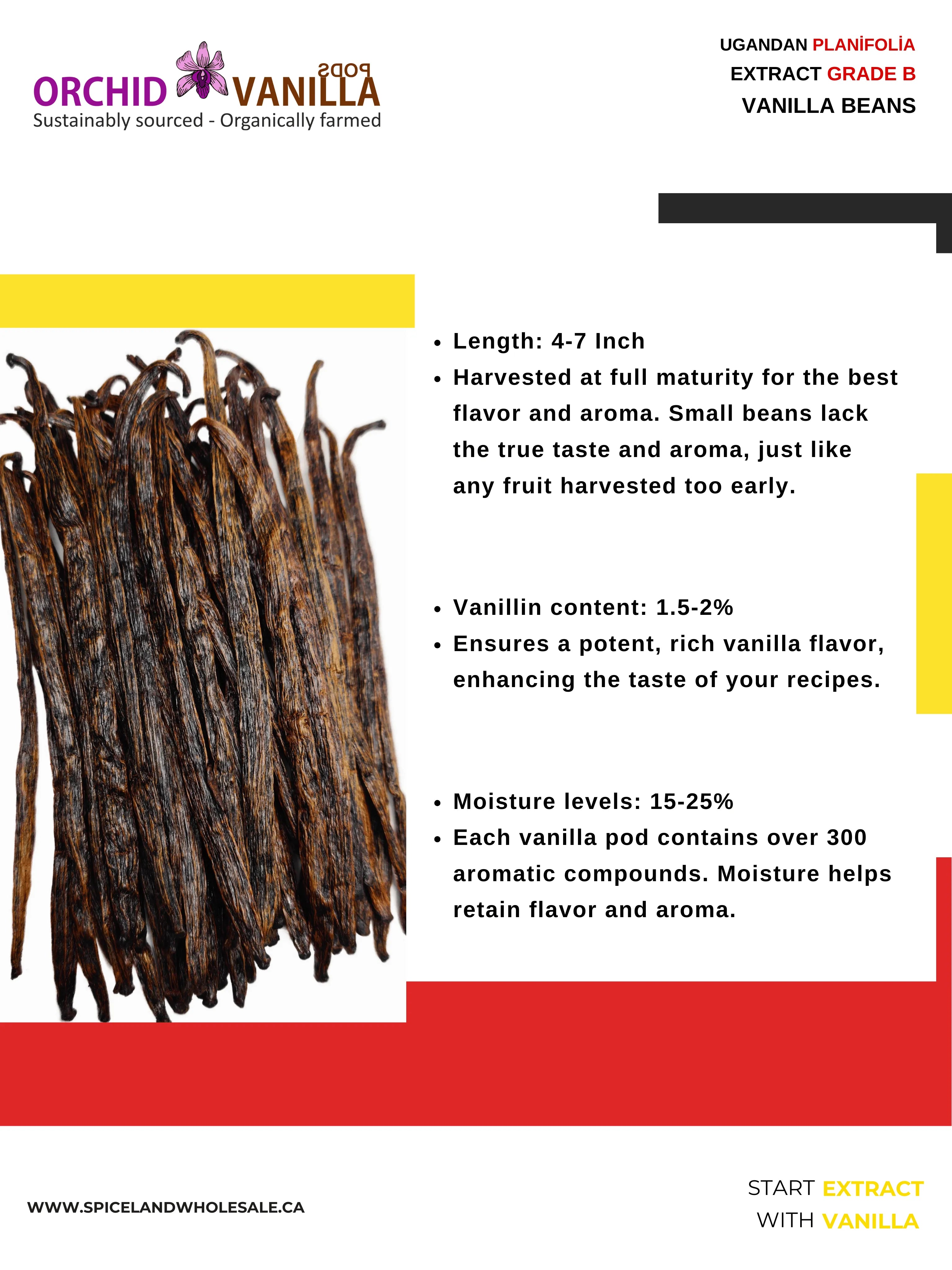 Ugandan Extract Vanilla Beans Grade-B <br>For Extract Making<BR>5 count, 15 count, 25 count, 50 count, 100 count