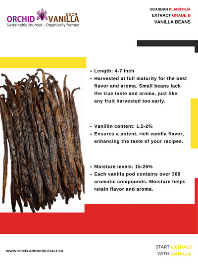Ugandan Extract Vanilla Beans Grade-B <br>For Extract Making<BR>5 count, 15 count, 25 count, 50 count, 100 count